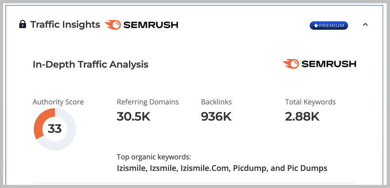 Flippa listing using Semrush
